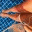 ordabirkizvaruzakta.wordpress.com