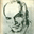 shandel.info