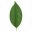 gfspdx.com