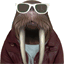 thewalrusstudio.com