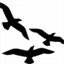 lanndulin.com