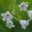memorizingnature.wordpress.com