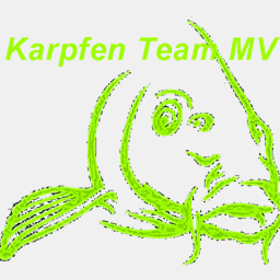 karpfenteammv.de