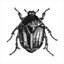 clausfalk.com