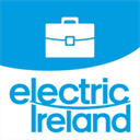 businessonline.electricireland.ie