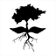rootsandwings.design