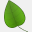 jefpadynatural.org
