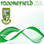 juvenilehurling.moorefieldgaaclub.com