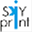 skyprint.su