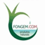 fongem.com