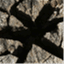 xarxastudis.com