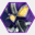 lolskinview.com
