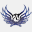 phoenixpools.org