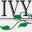 ivytrailscommunity.com