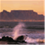 capeinsight.com