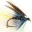 everythingangling.wordpress.com