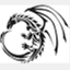 dragonnetwork.us