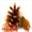 autumnlegacy.com