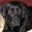 marathongeorge.wordpress.com