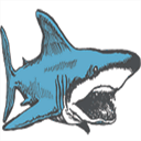 ccsharks.com