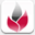 tofour.net
