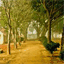 opencampus.blogspot.com