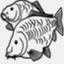 ecbaits.nl