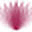mystrawberrypatch.com