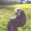 beersloth.com