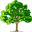 treeservicefinder.com