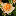 boulderrose.org