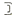 dinienzops.com
