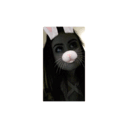 emotionalshorty.co.vu