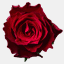 floristselection.se