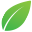 cavegatti.com