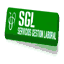 sglsoftware.com