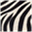 ifh-sander.de