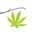 grassrootscannabisdispensary.com