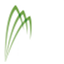 blog.plantphenomics.org.au