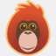pongos.com