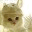 mymagicpocket.wordpress.com