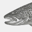 fvel.ch