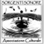 sorgentisonore.wordpress.com