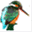 tmpconvert.com