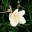 blogthotinh.wordpress.com