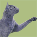 highway61blues.nstemp.com