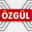 ozgulbilgisayar.com