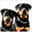 hundtugg.se