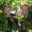 georgetownvineyard.wordpress.com