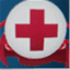 arcillinois.org